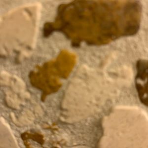 Meet your Posher, Jennie